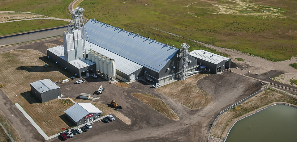 Battling zinc deficiency