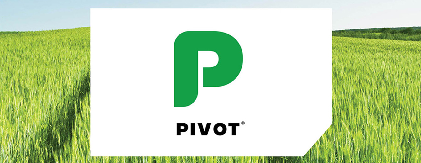 PIVOT