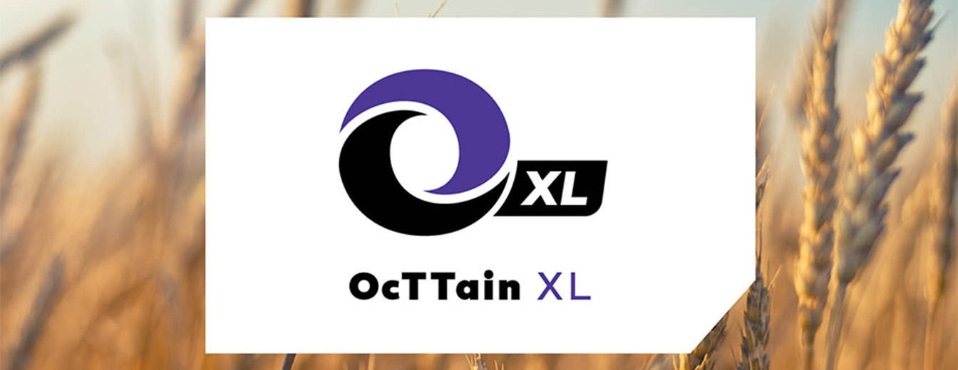 OCTTAIN XL