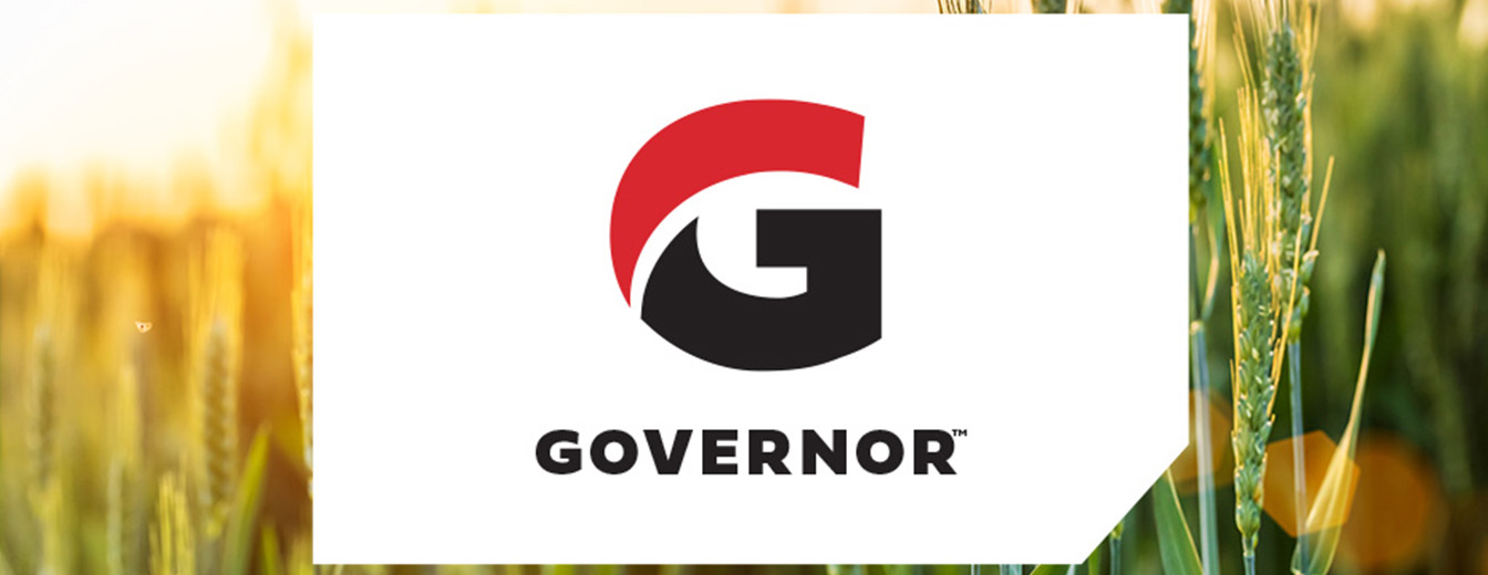 GOVERNOR