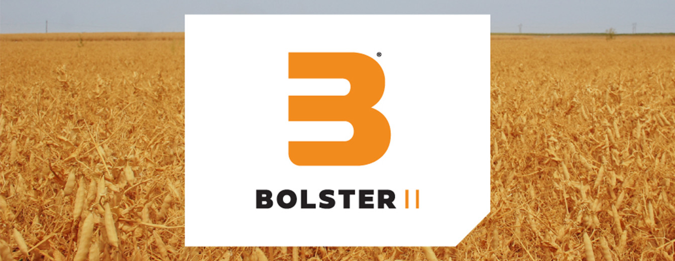 BOLSTER II
