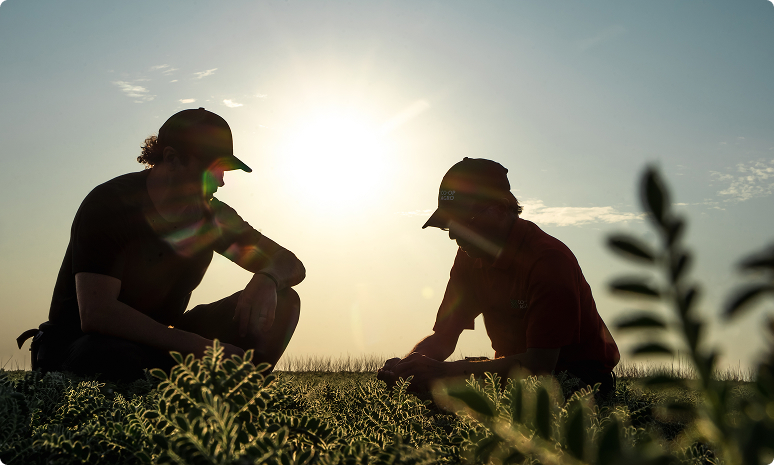 Your Partner in Productivity