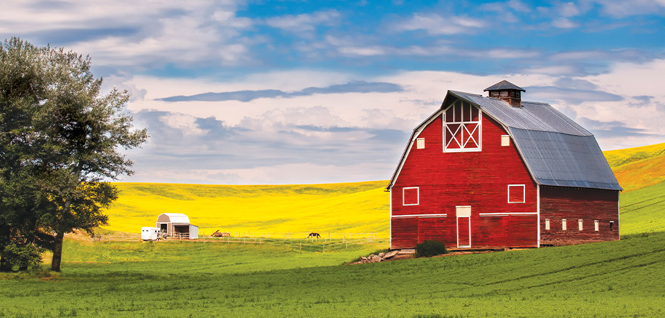 Boost livestock with CO-OP WHOLE EARTH FEEDS