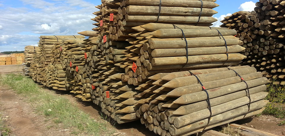 Forest to field: A story beyond fence posts