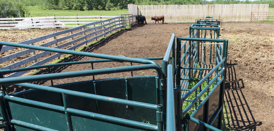 Lease livestock equipment, manage cash flow